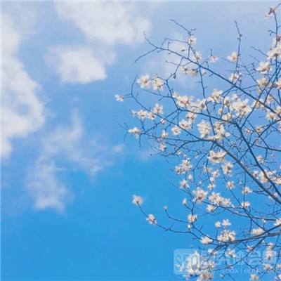 菲律宾体育娱乐APP/手机APP下载最新版